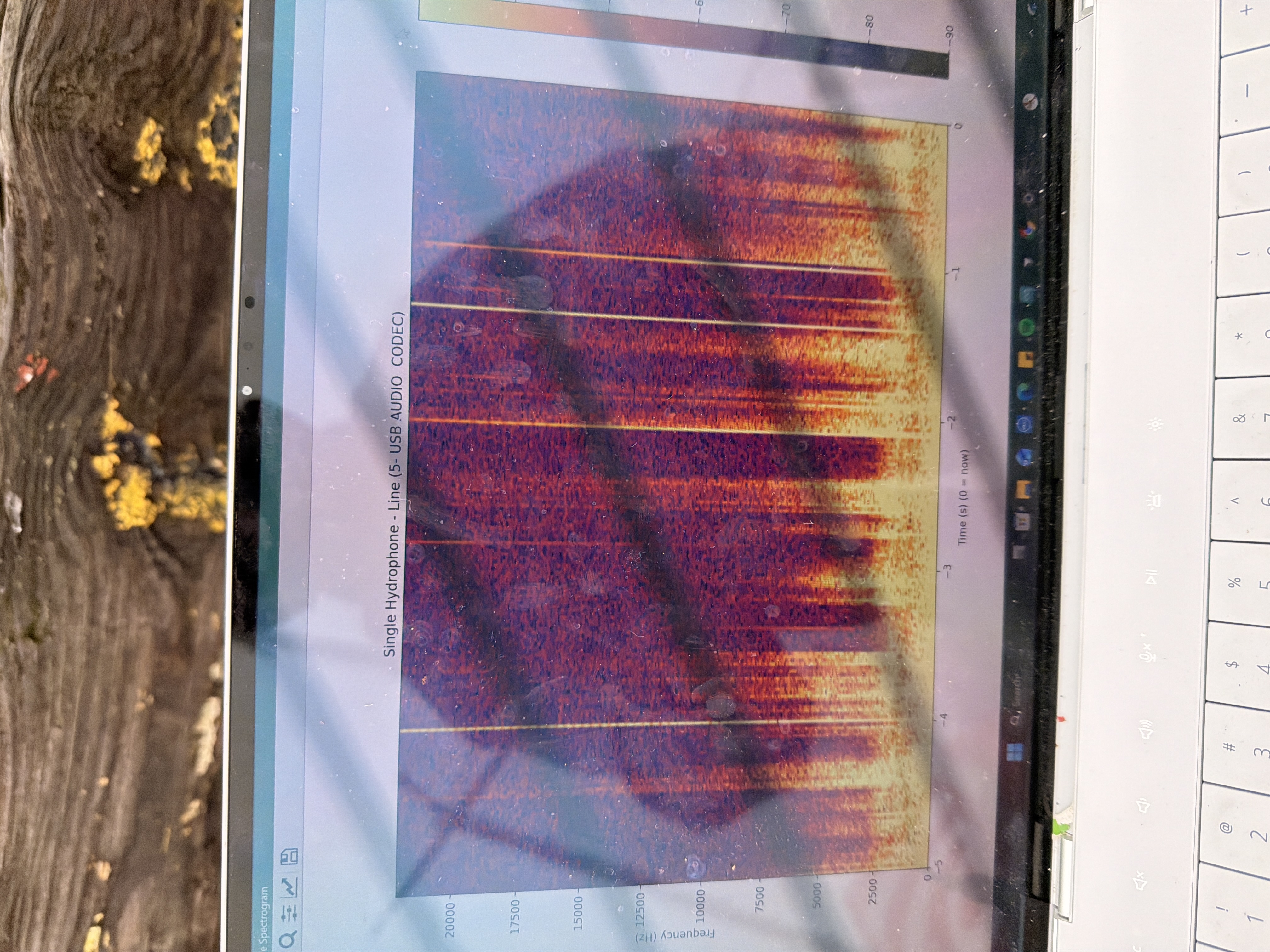 Live hydrophone spectrogram on a laptop during testing